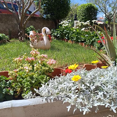 Sara Apartamento *