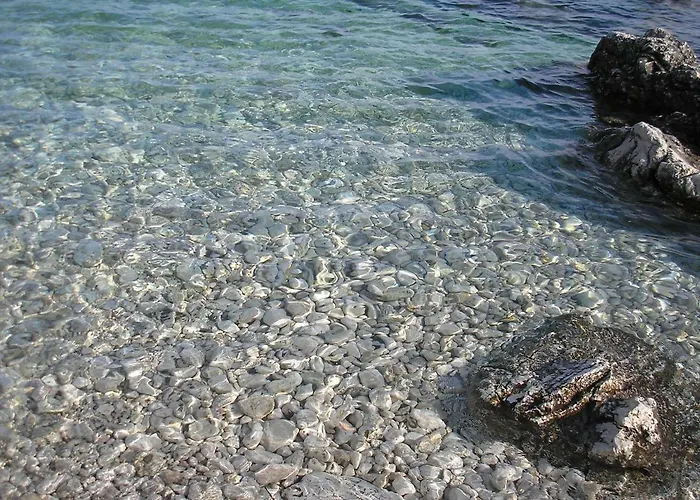 Sara Apartman Novi Vinodolski